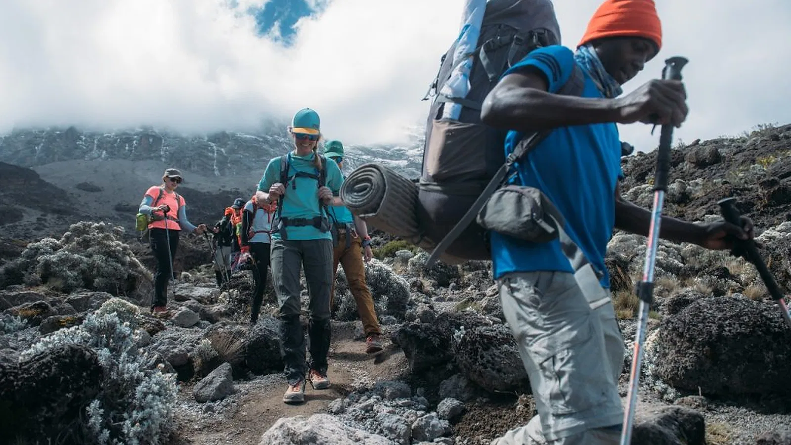 Kilimanjaro Climb 2026 to 2027: First Time Visitor Guide