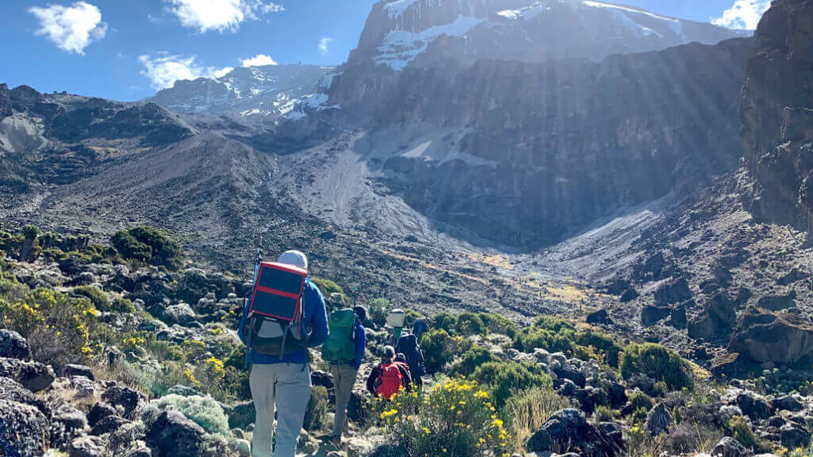 Kilimanjaro Climb 2026 to 2027: Local Expert Guide