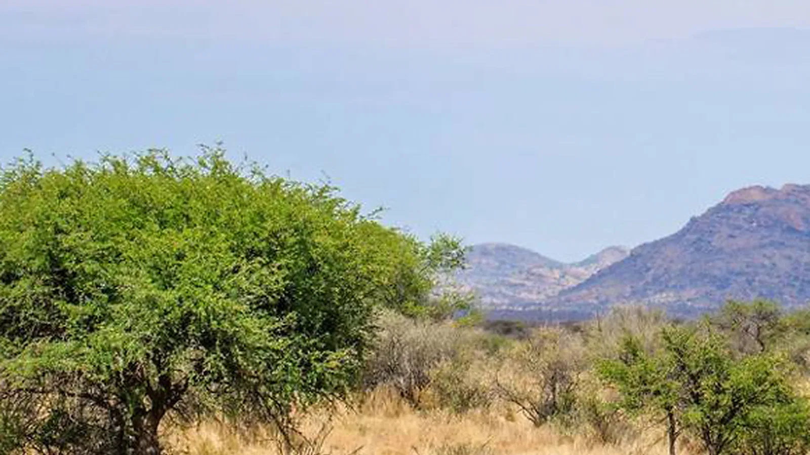 Kilimanjaro Climbing Routes Explained: Best Options for 2026 to 2027