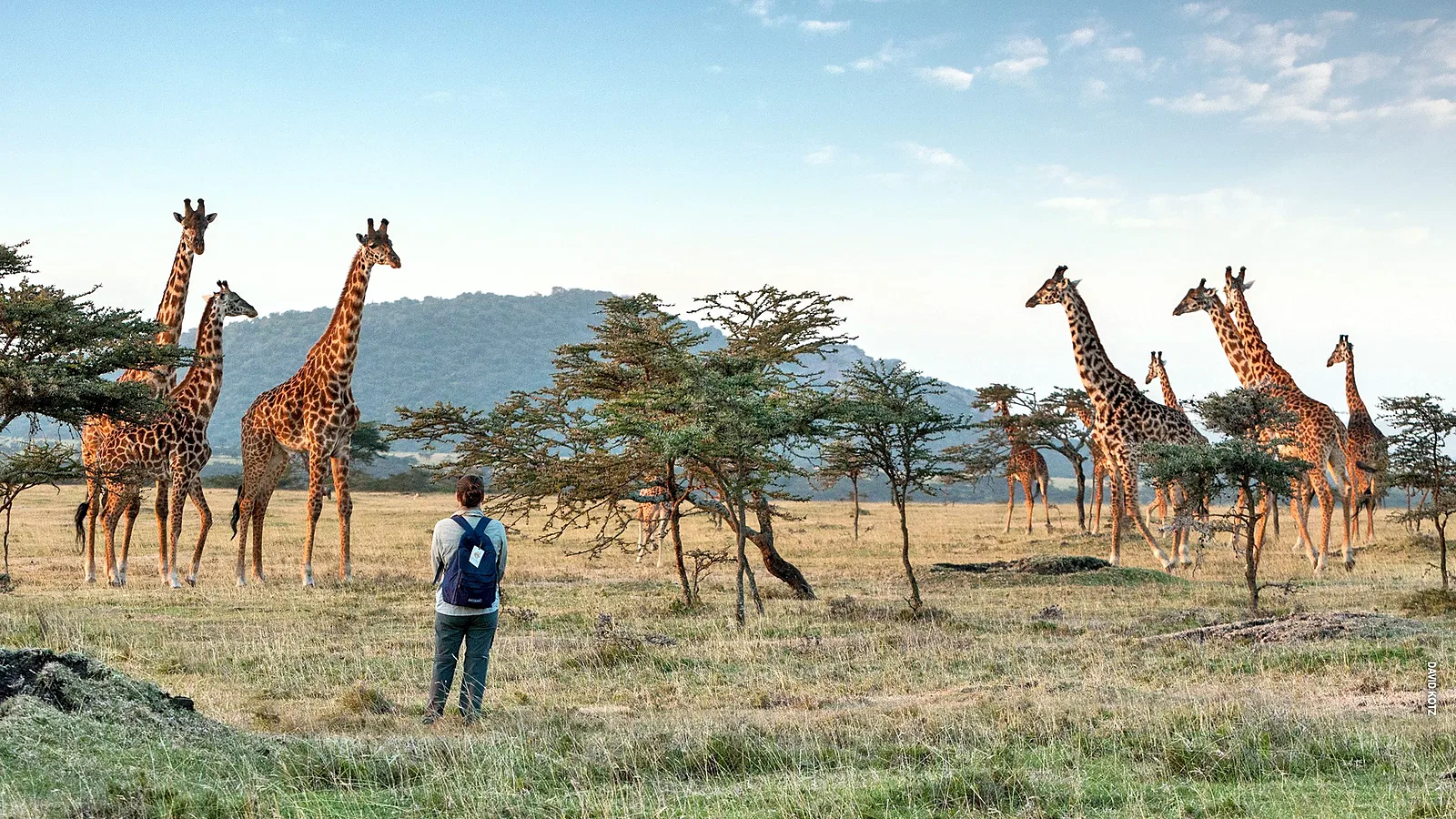 Ngorongoro Safari 2026 to 2027: Planning Guide