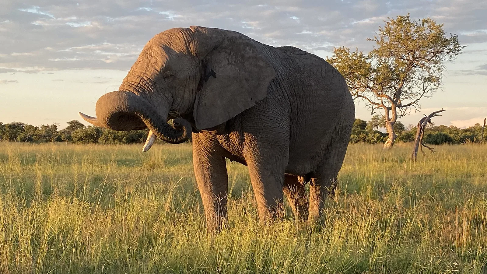 Ngorongoro Safari 2026 to 2027: Practical Booking Guide