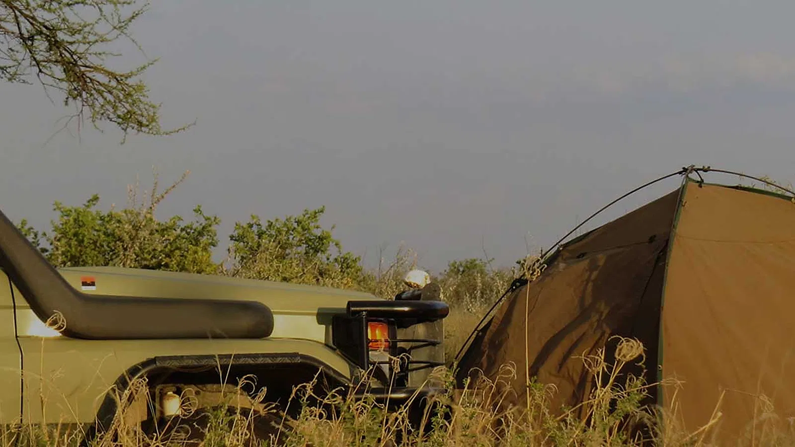 Serengeti Safari 2026 to 2027: Family Travel Guide