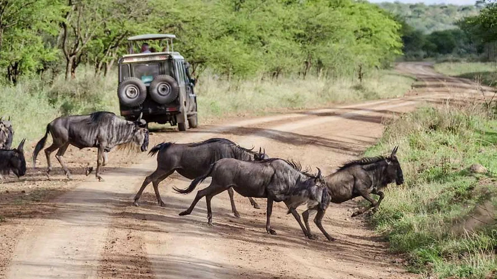 Tanzania Budget Camping Safari Guide 2026 to 2027