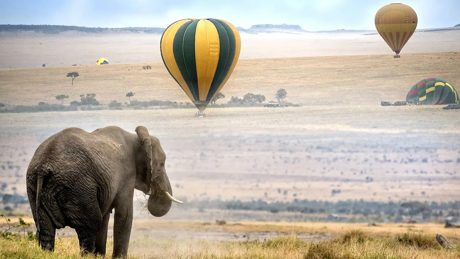 Tanzania Luxury Safari Guide 2026 to 2027