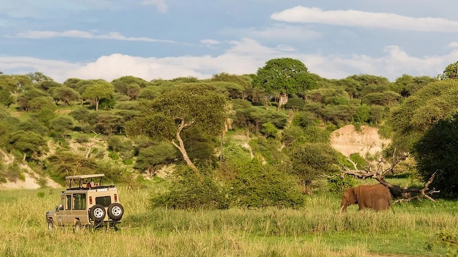 Tanzania Safari 2026 to 2027: Local Expert Guide