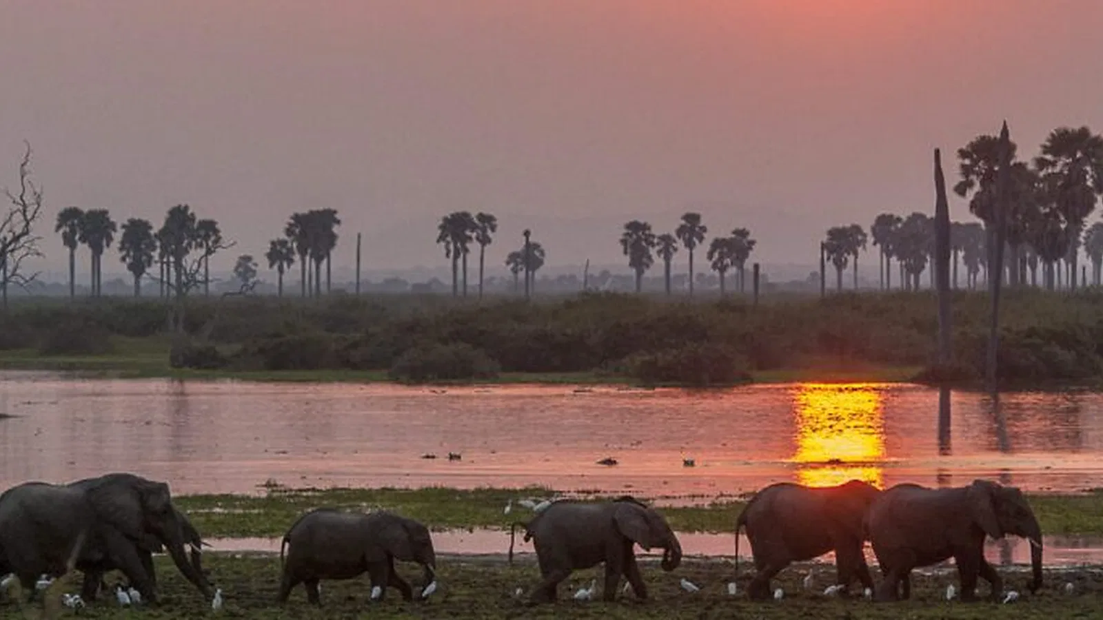 Tanzania Safari 2026 to 2027: Private Trip Guide