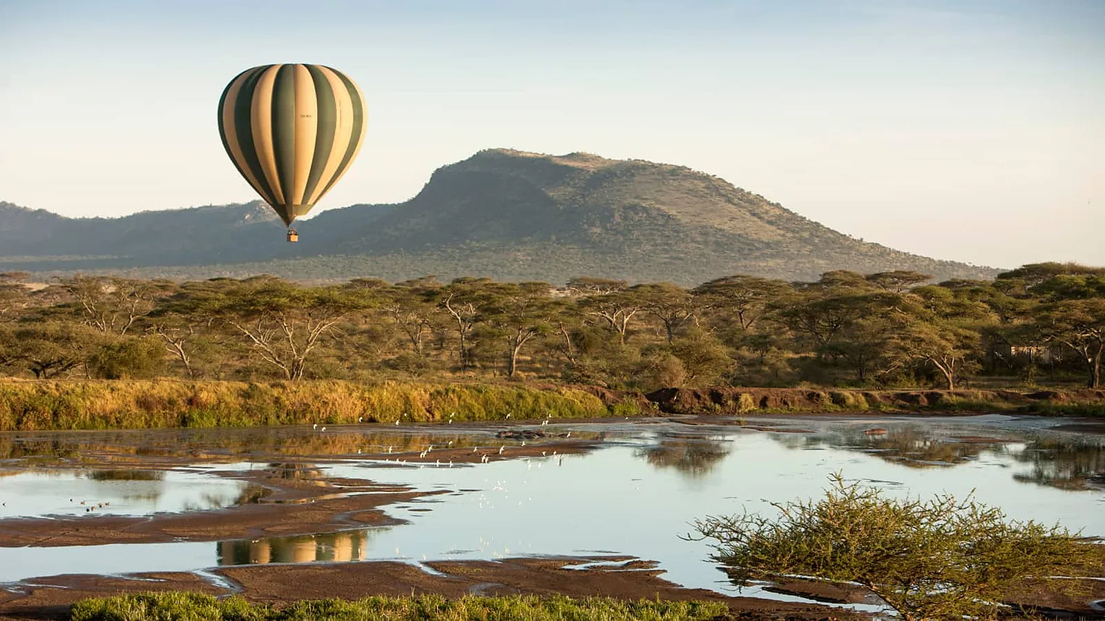 Tarangire Safari 2026 to 2027: First Time Visitor Guide