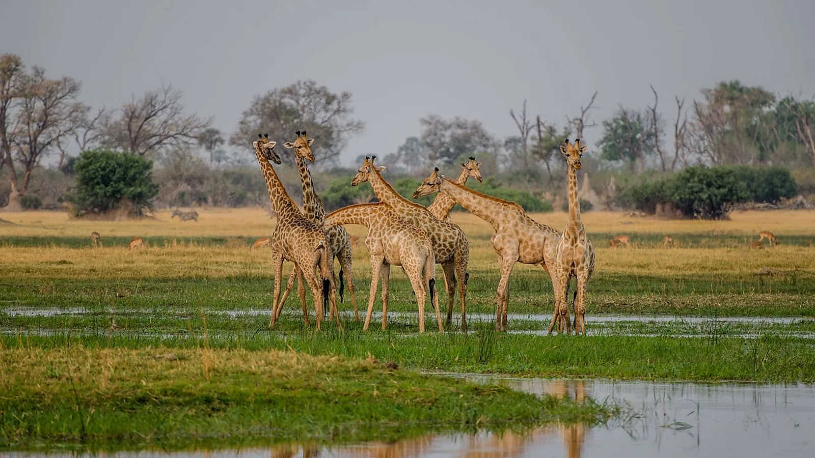 Tarangire Safari 2026 to 2027: Planning Guide