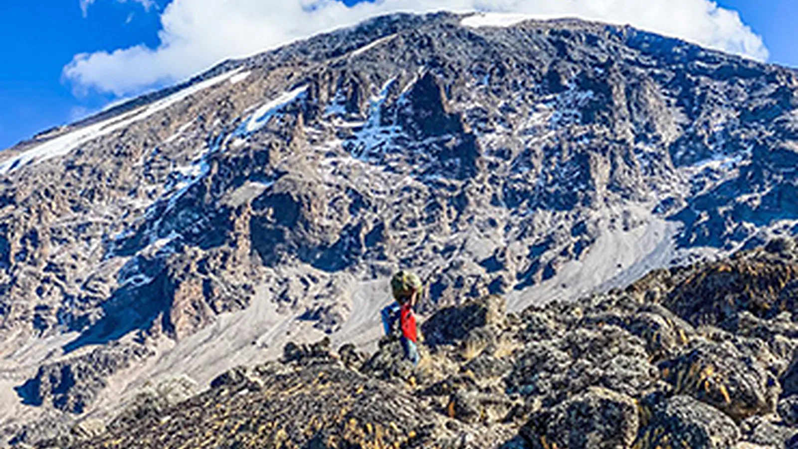 Kilimanjaro Group Joining Climbs 2027 to 2028 Scheduled Departures and Prices
