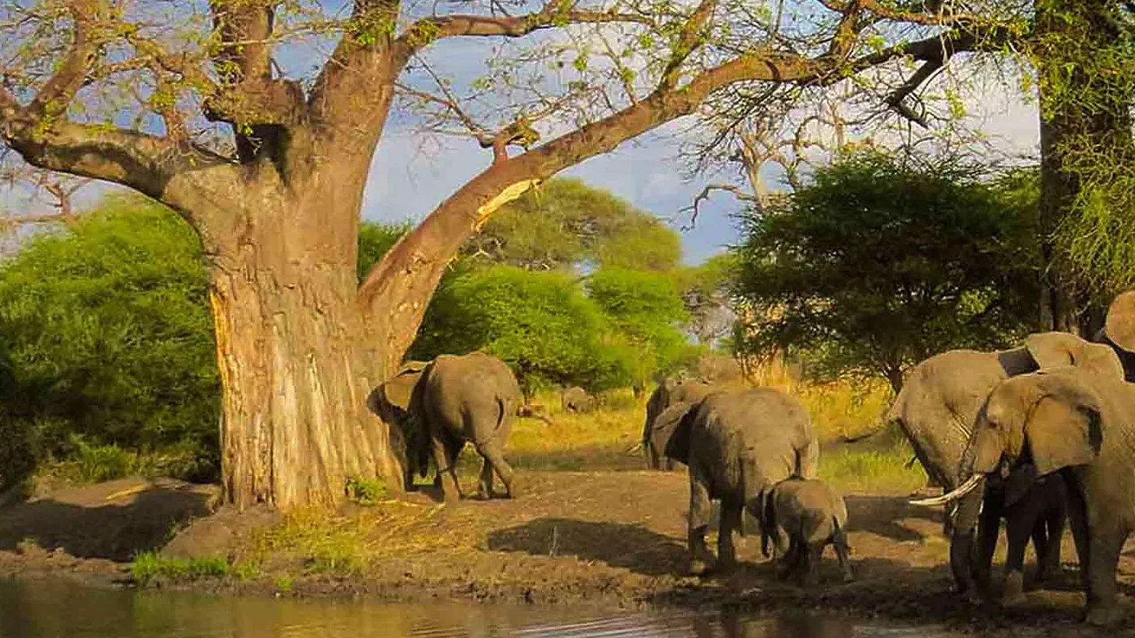 Lake Duluti Canoeing and Nature Day Trip from Moshi or Arusha