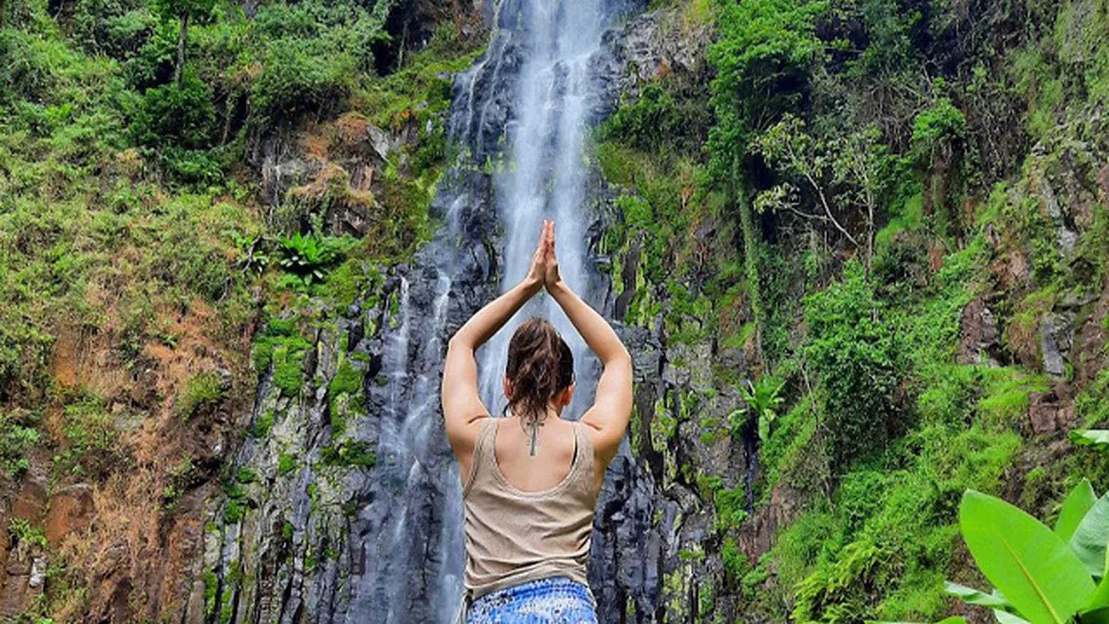 Rau Forest and Paradise Waterfall Cycling Day Tour from Moshi